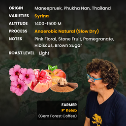 Syrina Gem Forest (Anaerobic Natural)