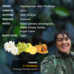 มณีพฤกษ์ สายพันธ์จาวา (วอช)