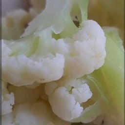 ดอกกะหล่ำ