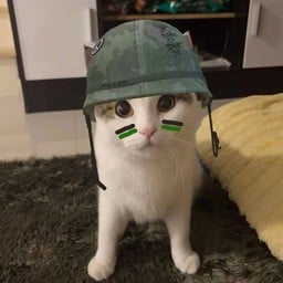 ชานะจ้า