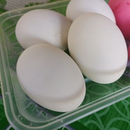 ไข่เค็ม