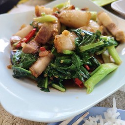 คะน้าหมูกรอบราดข้าว