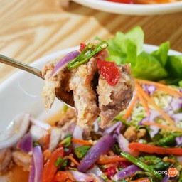 Aura Cafe and The Gang