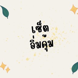 ข้าวไก่ราดซอส + น้ำชง 1 แก้ว + ไข่ลวก