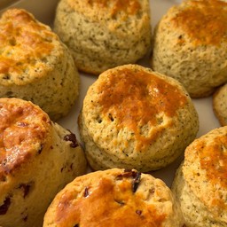 Scone cranberry