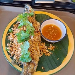 ปลากระพงทอดกระเทียม