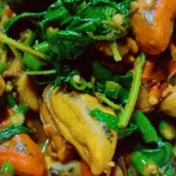 KH08.22 ผัดกะเพราเนื้อหอยลาย 50 กรัม ราดข้าว