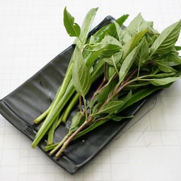 ผักชีฝรั่ง + โหระพา