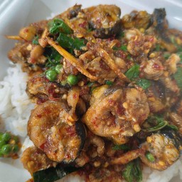 ผัดเผ็ดปลาไหลราดข้าว