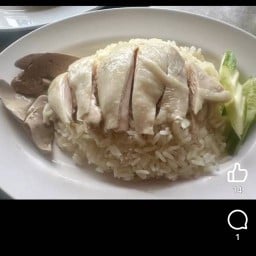 ข้าวมันไก่สาวน้อย (สไตล์สิงคโปร์)(ข้าวกะเพราหมูกรอบ)