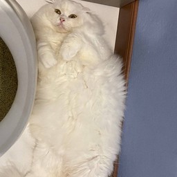 น้องกิมจิ ทิปแพงเพราะกินเยอะ🐽