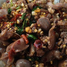 ผัดกระเพราเครื่องในไก่ราดข้าว