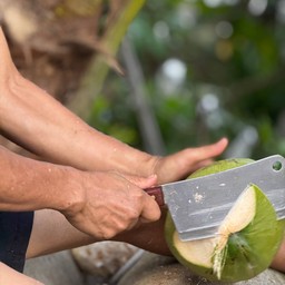 น้ำมะพร้าวสด