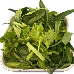 ผักบุ้ง