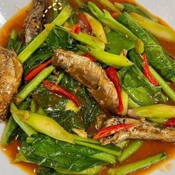 คน้าปลากระป๋อง