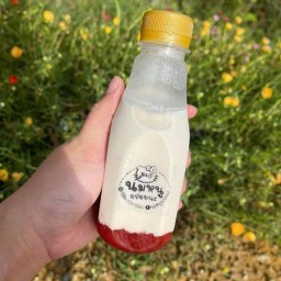 นมหนูอร่อยนะ