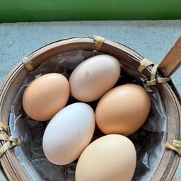 ไข่ไก่ออแกนิก 1 ฟอง