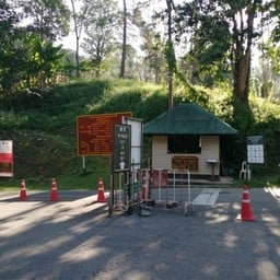 โครงการสวนป่าในพระราชดำริปางตอง ๒ (ปางอุ๋ง)