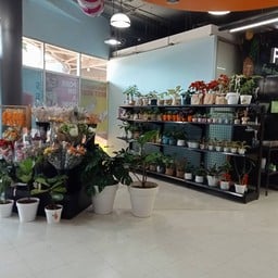 Villa Market Kast-nawamin