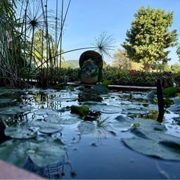 น้ำทะเลรีสอร์ท