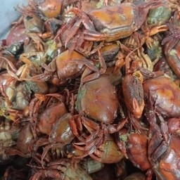 ปูนานึ่งสุก