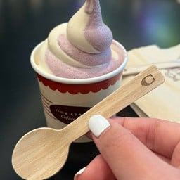 The Coach Coffee Shop Shanghai Disneyland