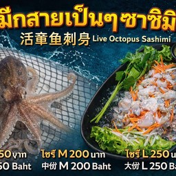 หมึกสายเป็นๆหั่นซาซิมิ 1 ตัว