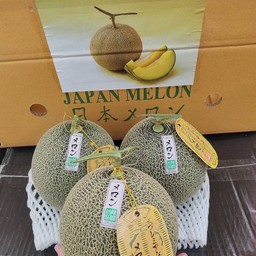 เมล่อนเขียว ญี่ปุ่น ยูบาริ ( สีเขียว ) 1 ลูก