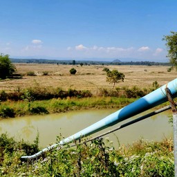 วัดไหล่หินหลวง