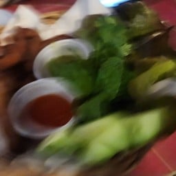 ผึ้งป่ามะนาวซ่า มหาสารคาม