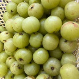 มะขามป้อมบ้านคลุกพริกเกลือ