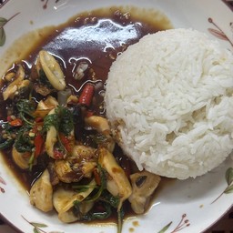 กระเพราหมึก ราดข้าว