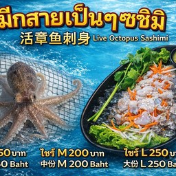 หมึกสายเป็นๆหั่นซาซิมิ1ตัว