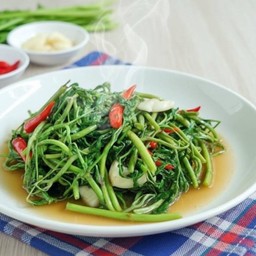 กระเฉดน้ำมันหอย / ไฟแดง