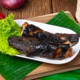 ปลาดุกย่าง