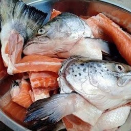 อะไหล่ปลาแซลม่อน