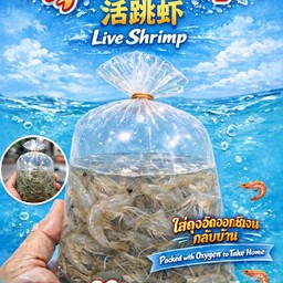 กุ้งเต้นเป็นๆ 100กรัม อัดออกซิเจนใส่ถุงกลับบ้าน