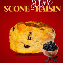 Scone - Raisin