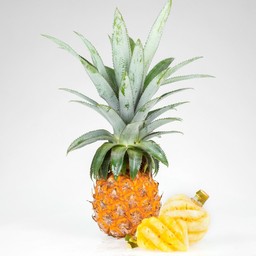 สับปะรด ภูแล