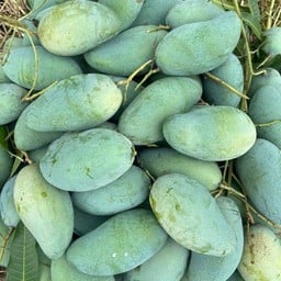 มะม่วงเขียวเสวย น้ำปลาหวาน