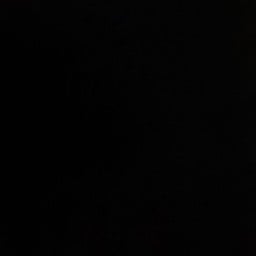 ไข่เจียว ไม่ใส่เนื้อสัตว์