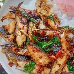 ข้าว กระเพราปลาทู