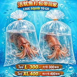 หมึกกล้วยเป็นๆ ไซร์L ขนาด6-7นิ้ว 1ตัว ใส่ถุงอัดอ๊อกซิเจนให้คะ