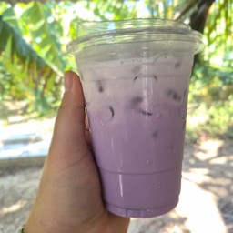 นมเผือก.