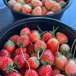 มะม่วง +สตอเบอรี่ คลุกน้ำปลาหวาน