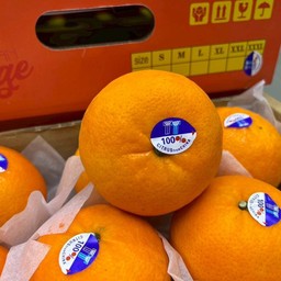 ส้มไต้หวันตราเพชร