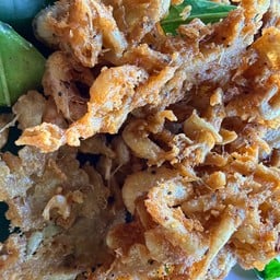 ดูวิวเก๊าเดื่อ