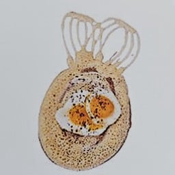 ดับเบิ้ล ไข่ 2 ลูก