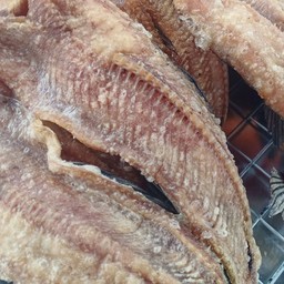 ปลาช่อนแดดเดียว (1 ตัว)