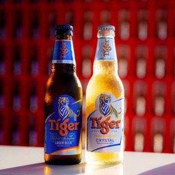 Firerfly phuket Firerfly phuket